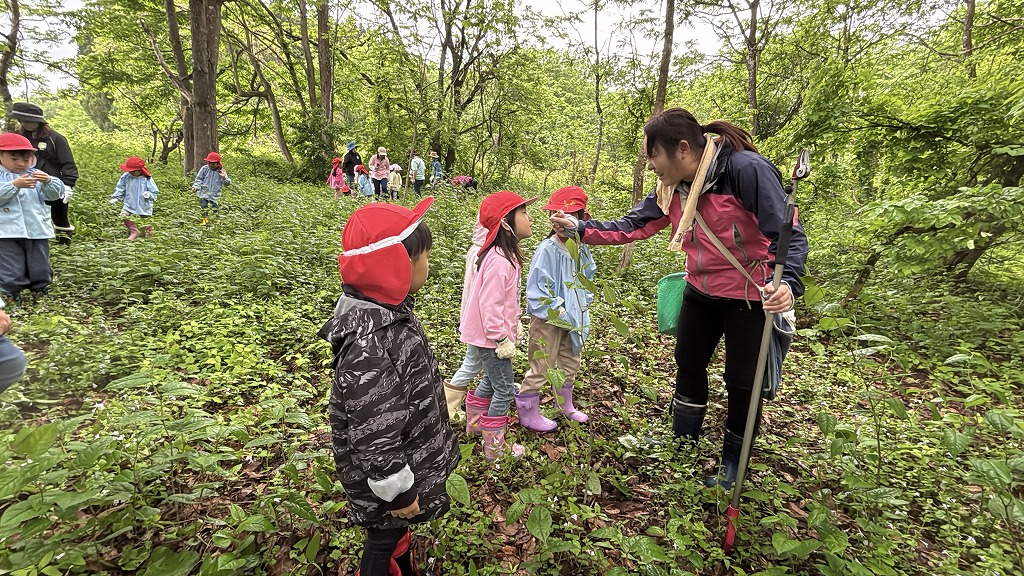 自然に触れよう🍃