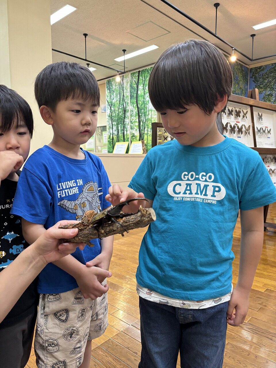 昆虫館に行ってきたよ！