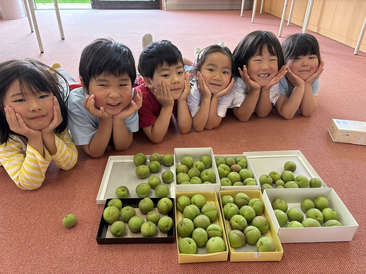 梅の季節がやってきました♪